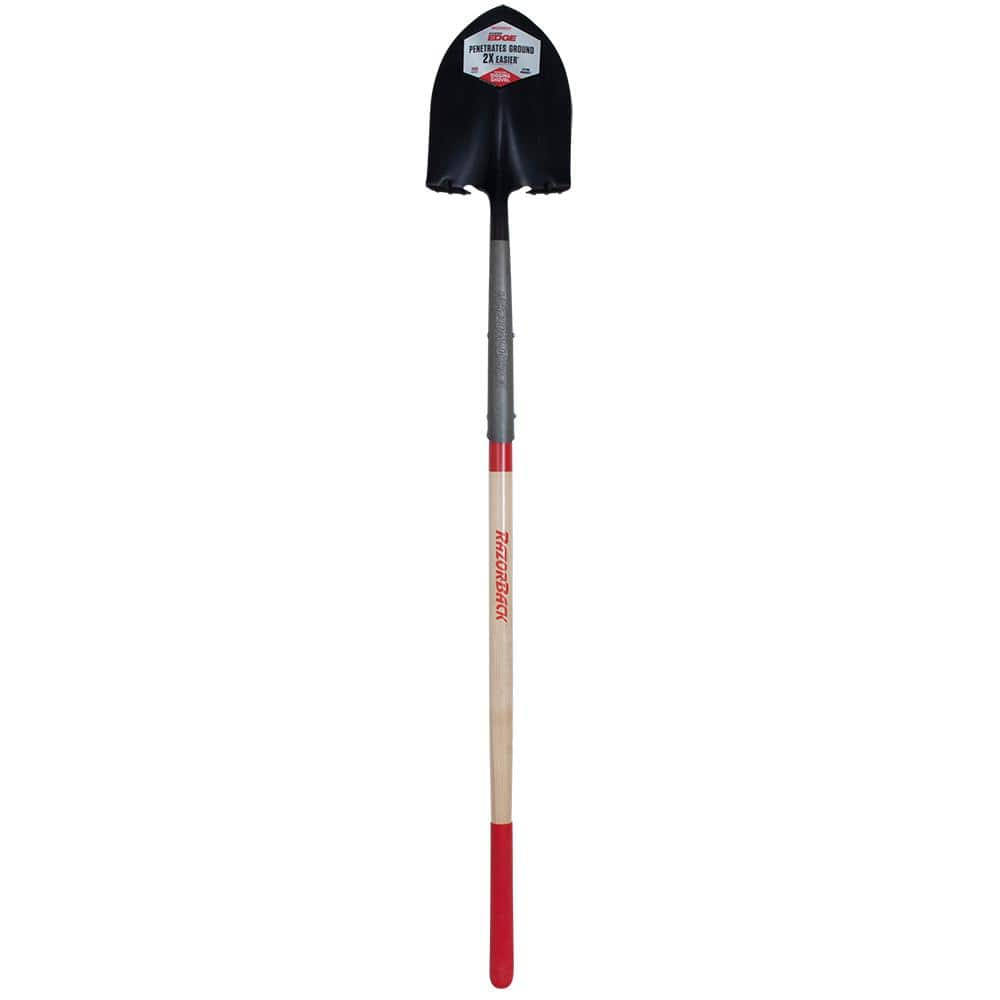 Razor-Back 23.5 in. Wood D-Handle Square Point Shovel 2594300 - The Home  Depot