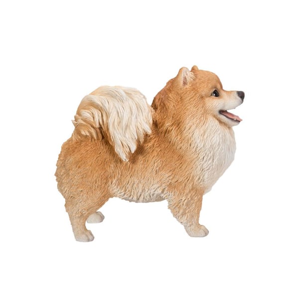 HI-LINE GIFT LTD. Pomeranian Standing- Medium Garden Statue 87668