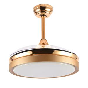36 in. LED French Gold Retractable Ceiling Fan with Light Kit and Remote Control