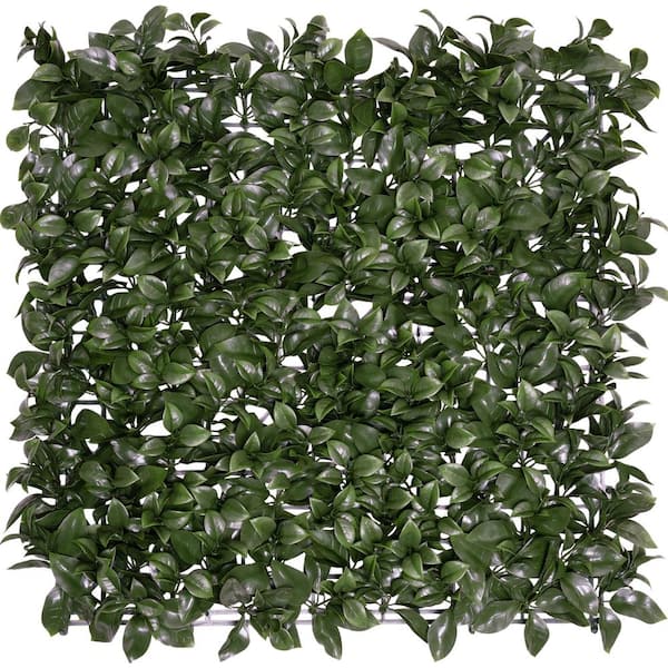 GREENLINE ARTIFICIAL GRASS 20 in. x 20 in. Ficus Hedge Artificial Hedge Greenery Panels (6-Piece)
