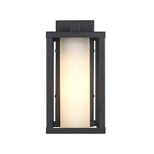 Adler 12 in. 1-Light Black Outdoor Wall Light Fixture with Clear and Frosted Glass