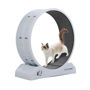 Cat Treadmill Exercise Wheel Lockable, Large