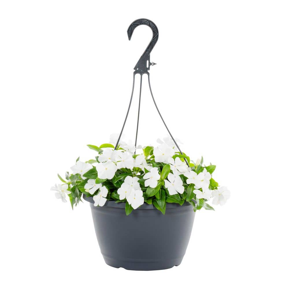 aiaiaiko★美品★LINKABLE リンカブル　フラワーガーデン metrolina-greenhouses-annual-