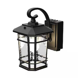Williams Black Outdoor LED Wall Lantern with Power Outlet