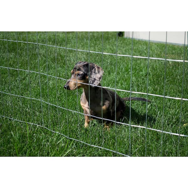 YARDGARD 2 ft. x 25 ft. Galvanized Steel Welded Wire