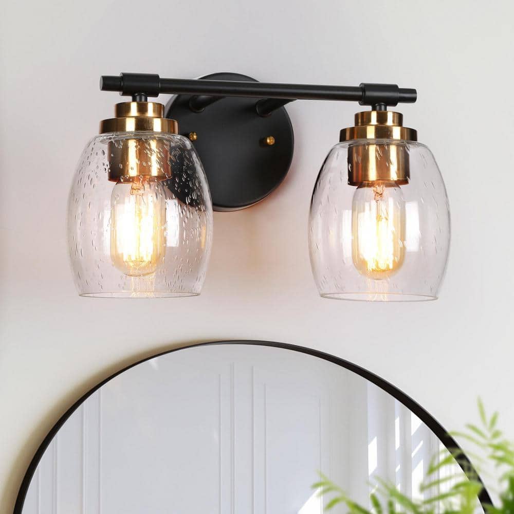 12.6 in. 2-Light Black and Electroplated Copper Vanity Light with Seeded Glass Shades price history on PriceWatchPro