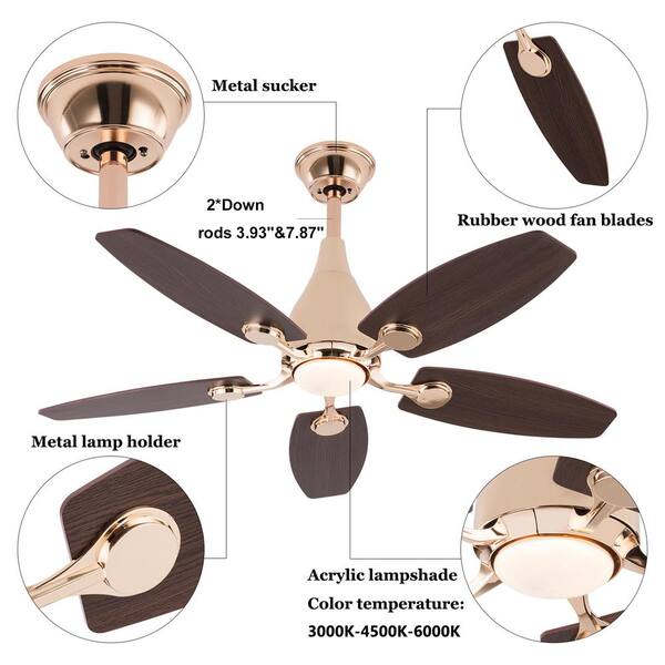 OUKANING 42 in. Indoor Gold Modern 3-Color Ceiling Fan Light with