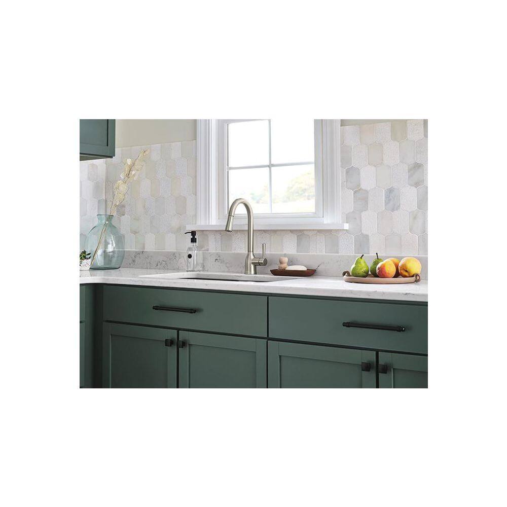 Adler Stainless Steel Pull-Down Kitchen Faucet with Spray