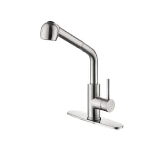 Single Handle Kitchen Sink Faucet with Pull Out Sprayer in Brushed Nickel