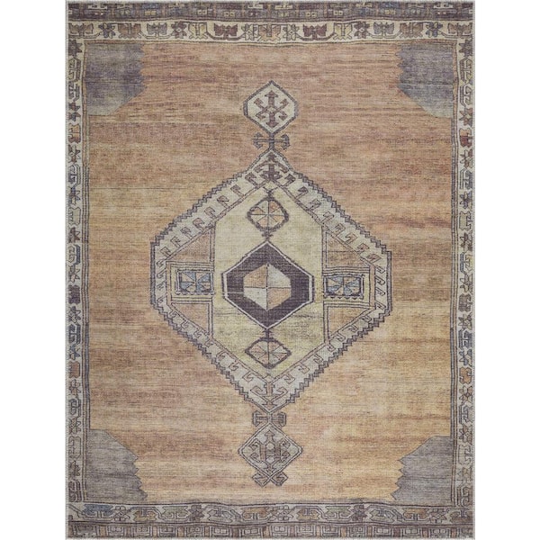 Medinah 7 ft. X 9 ft. Dark Red, Camel, Dark Brown Area Rug