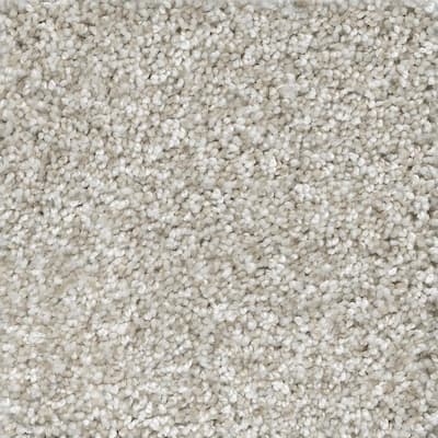 8 in. x 8 in. Texture Carpet Sample - Trendy Threads II -Color Chic