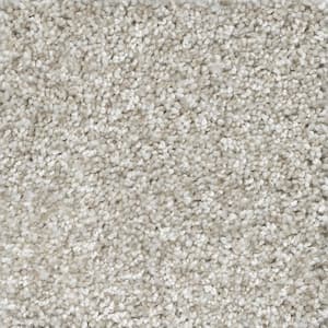 Trendy Threads II - Chic - Beige 60 oz. SD Polyester Texture Installed Carpet