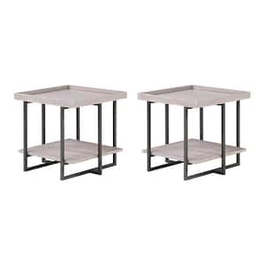 Triblisi 23.63 in. Antique Gray Square Wood End Table (Set of 2)