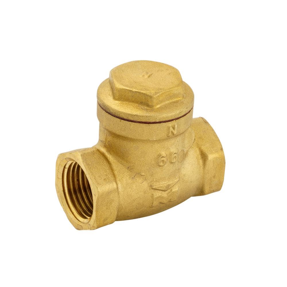 ProLine Series 1/2 in. Brass FPT Swing Check Valve 101-003HN - The Home ...