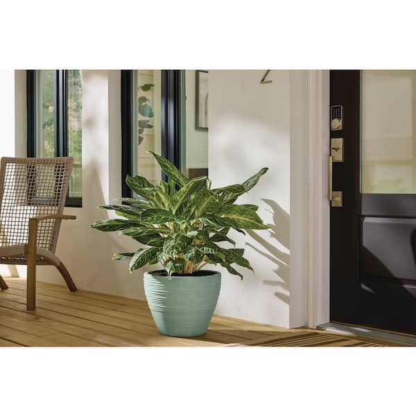 Ashton Large Sage Green Resin Planter (15 in. L x 15 in. W x 11.6 in H)