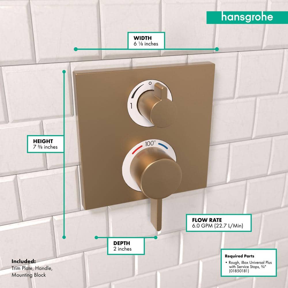 Modern Wall-Mounted Lever Shower Trim in Brushed Bronze