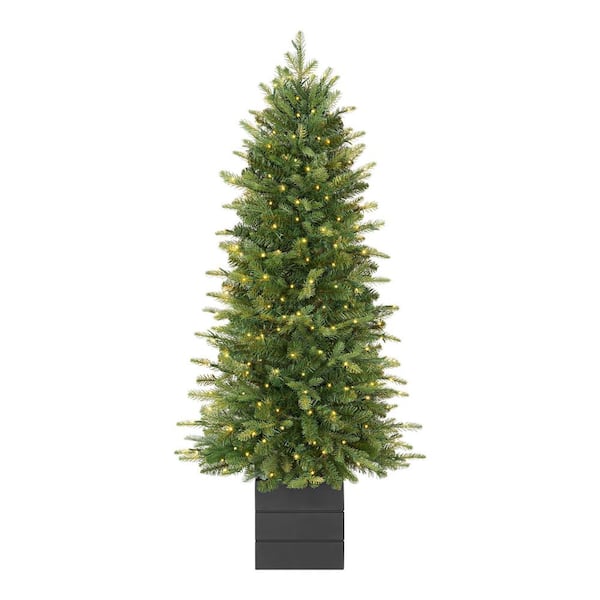 4 ft Potted SMART Grand Duchess Twinkling Balsam Fir LED Pre-Lit Tree T40