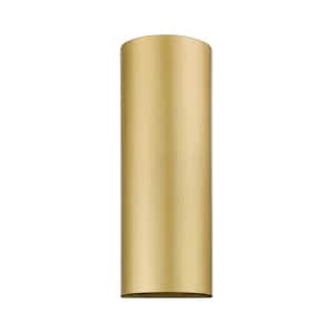 Banbury 14 in. 1-Light Bond Satin Gold Dark Sky Outdoor Hardwired ADA Wall Sconce with No Bulbs Included