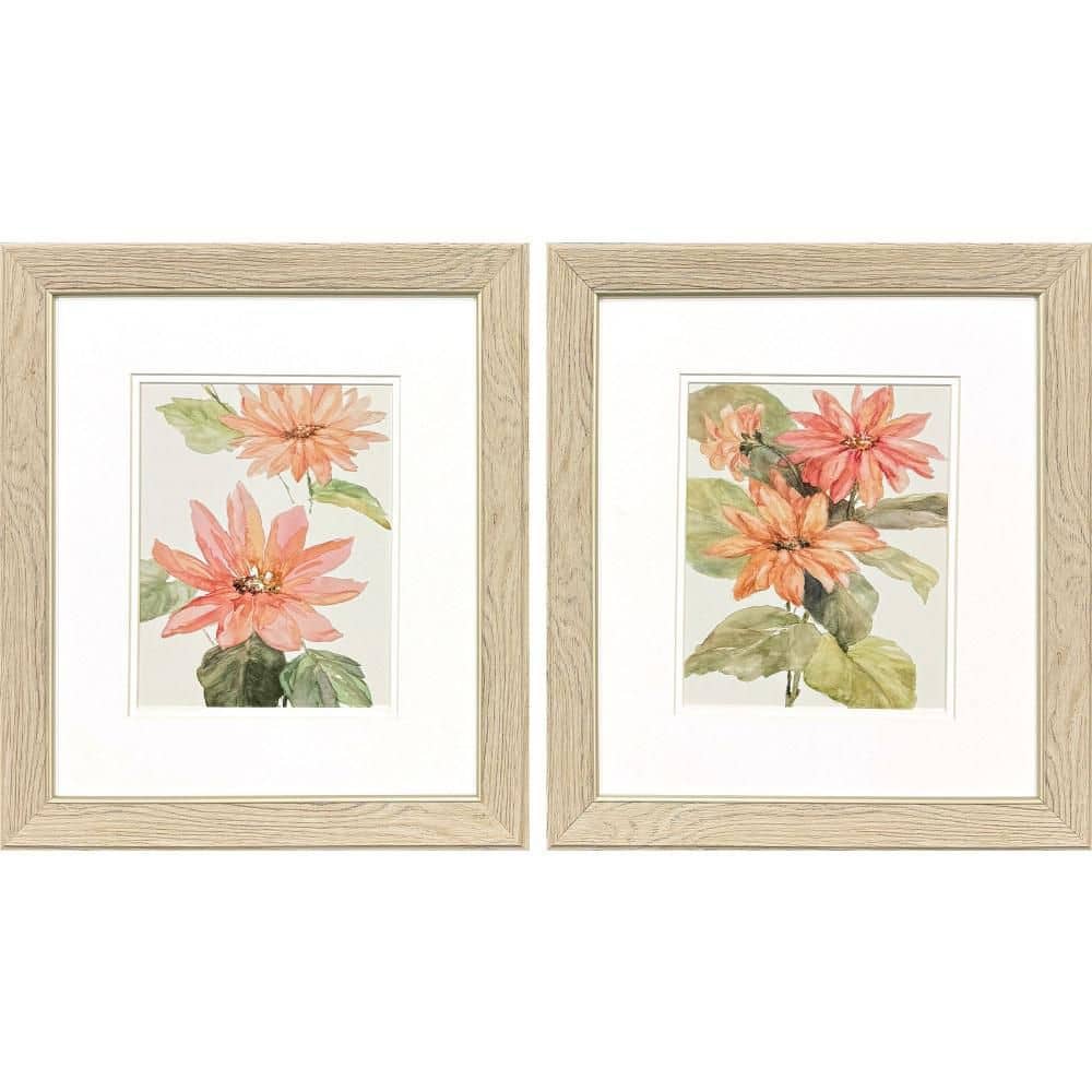 2 Piece Framed Graphic Print Plants & Flowers 18.00 in. x 16.00 in. price history on PriceWatchPro