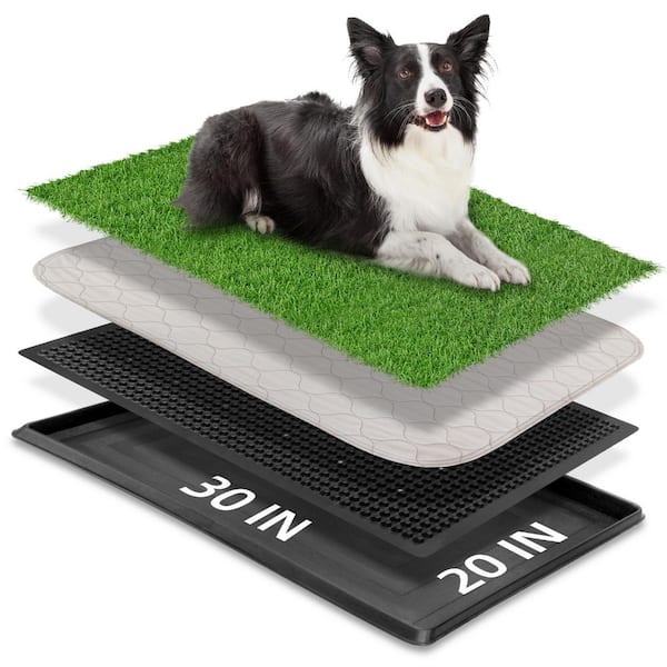 COZIWOW 30 x 20 in. Dog Grass Pad Artificial Grass Turf, Washable