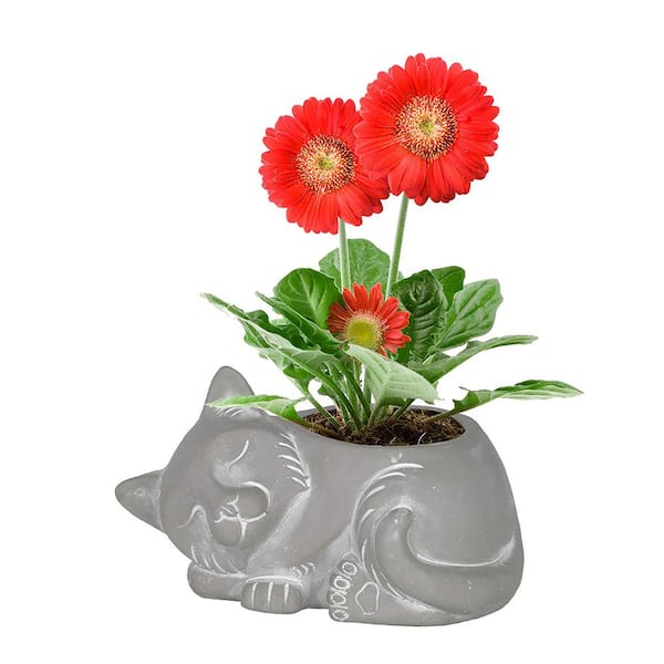 Cat Small Gray Natural Concrete Lightweight Planter with Drainage Holes (6.9 in. L x  in. 6.9 W x 2.35 in. H)