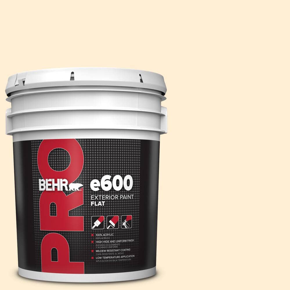 5 gal. #M270-1 Pearly White Exterior Flat Paint price history on PriceWatchPro