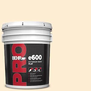 5 gal. #M270-1 Pearly White Exterior Flat Paint
