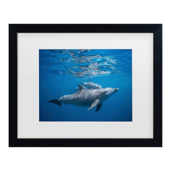 Trademark Fine Art Barathieu Gabriel Pod of Dolphin Matted Framed Photography Wall Art 18 in. x 22 in.