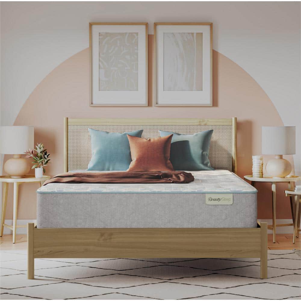 BEAUTY SLEEP Slumberscape Queen Plush 13.75 in. Mattress 700812348