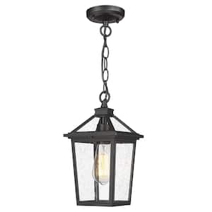 12 in. 1-light Industrial Black Outdoor Pendant Light with Seeded Glass and No Bulbs Included