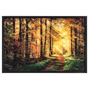 "The Road Traveled" Polysynthetic Frame Nature Photography Wall Art 24.8 in. x 37.4 in.