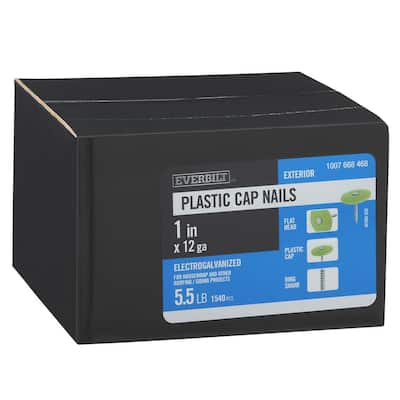1 in. x 12D Electro-Galvanized Plastic Cap Non-Collated Roofing Nails 5.5 lbs. (1540-Count)