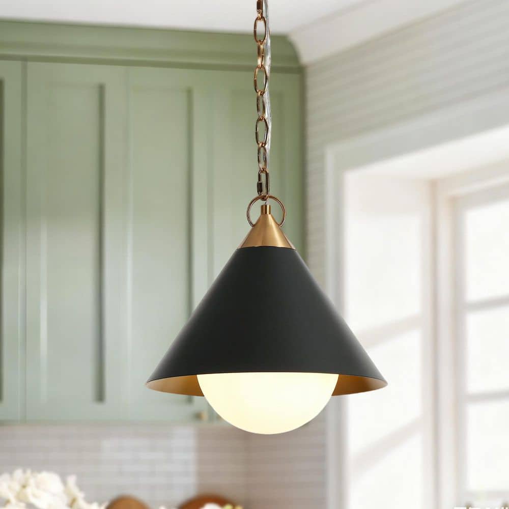 LNC Libbaconion 40-Watt 1- Light Matte Black and Plating Brass