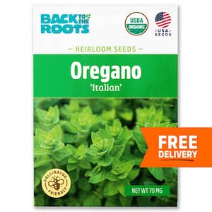 Organic Italian Oregano Seed (1-Pack)