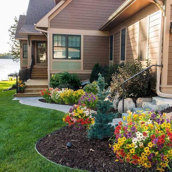 Colorful Daisy Boxwood Mix Artificial Flowers 4.5 in. UV Resistant