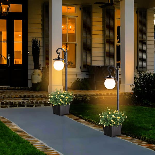 C Cattleya Black Plastic Weather Resistant Solar Integrated LED