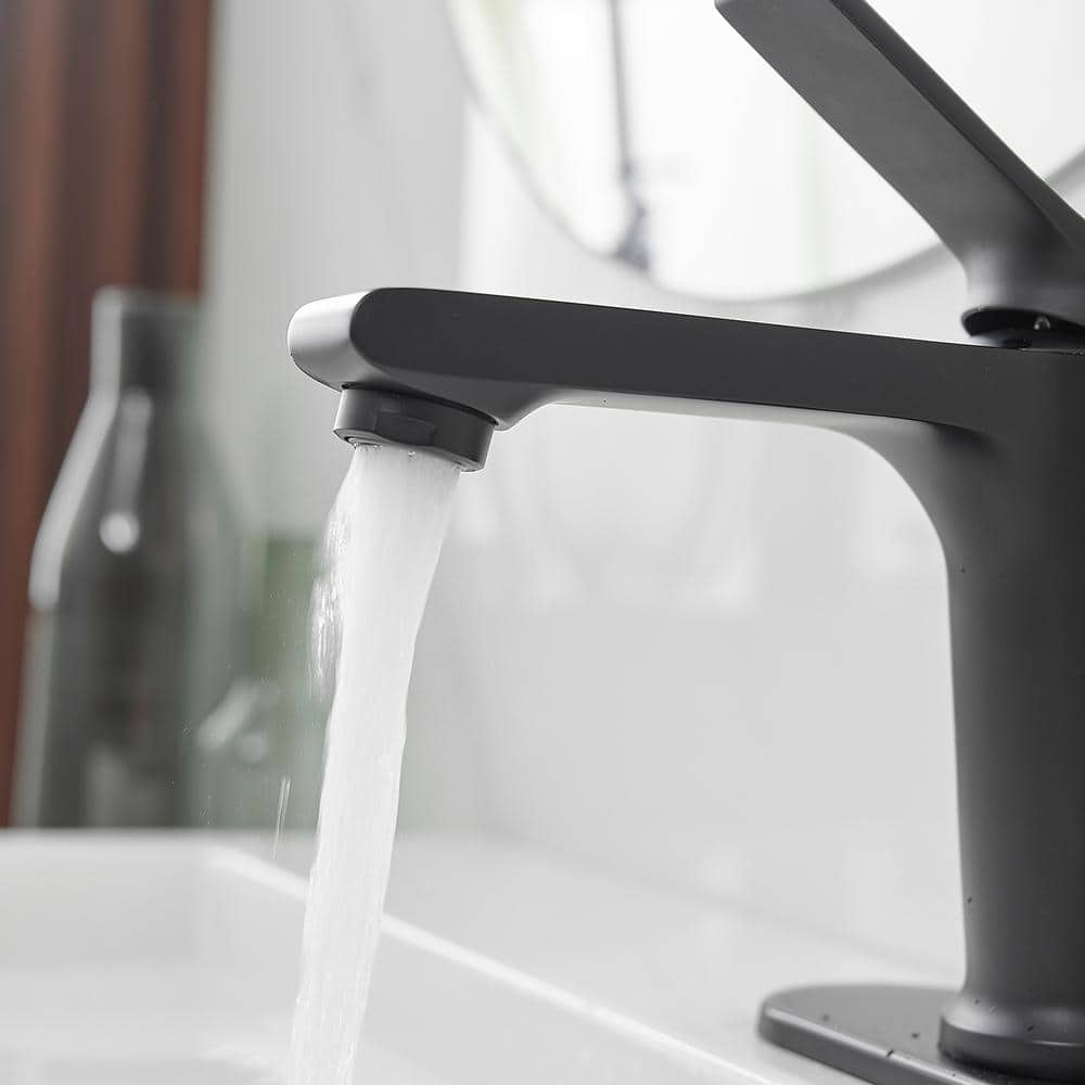 Matte Black Single-Handle Bathroom Faucet with Nickel Finish