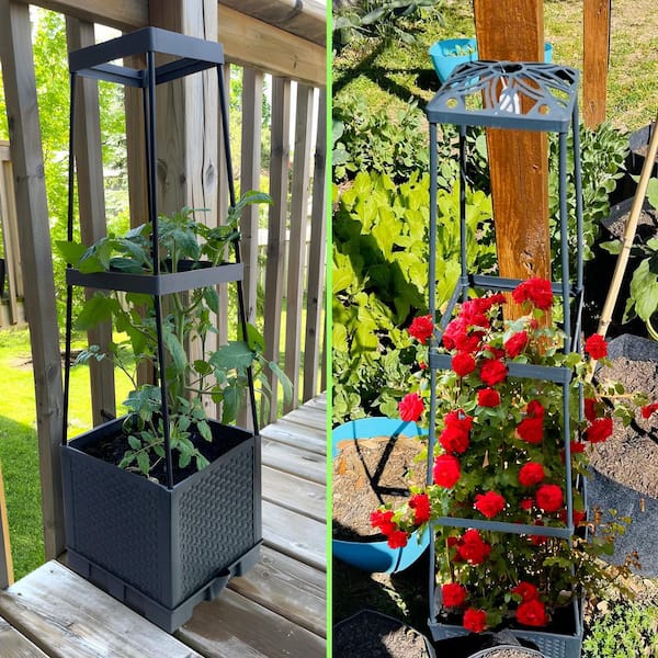 Self-Watering Raised Garden Bed Tomato Planter Box w/ Trellis 44.8 in.  Plastic Adjustable Cage Indoor Outdoor PP 2-Pack OF065PH033 - The Home Depot
