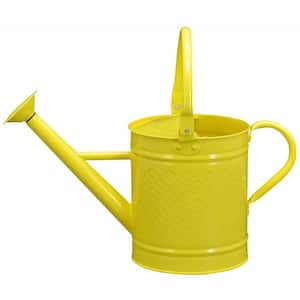 1 Gal Galvanized Steel Watering Can Decorative Farmhouse Style Watering Can, Removable Rosette-Diffuser