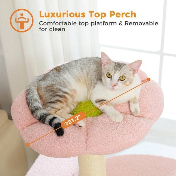 best self cleaning cat litter box for multiple cats WhimzyPet Automatic Self-Cleaning Cat Litter Box main image 1