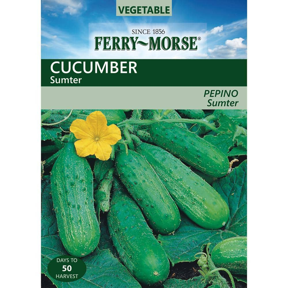 Gurney's Cucumber Slicing Americana Hybrid (20 Seed Packet)