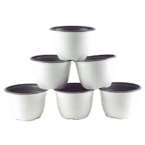 6 in. W White/Gray Plastic Pot (6-Pack)