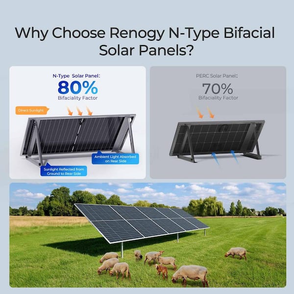 Renogy Bifacial 10-Piece 590-Watt 12V 16BB N-Type Monocrystalline