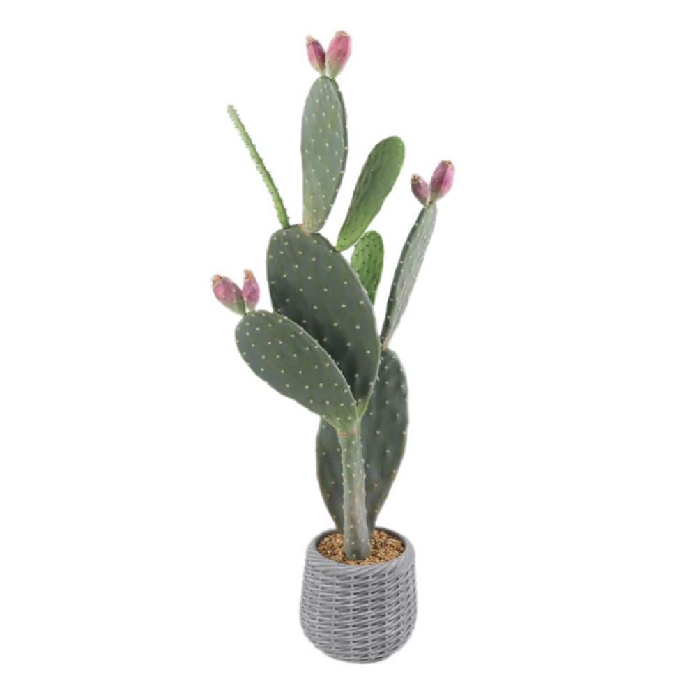 【送料無料】 シェルフ カクタスツリー 125cm パイン ストーンブルー 3. 28FT Artificial Cactus Tree In Pot, 42