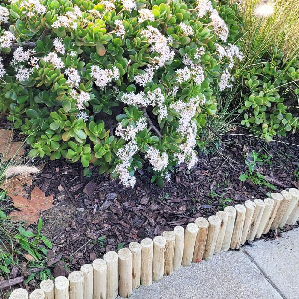 Natural Eucalyptus Wood Garden Border Edging, 6'' H x 72'' L