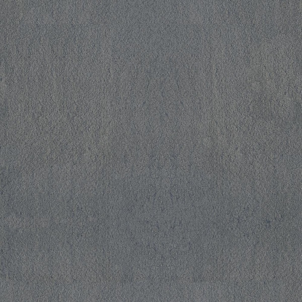 Lifeproof Dreamy Daze II Huntley Blue 66 oz. Nylon Texture Installed Carpet