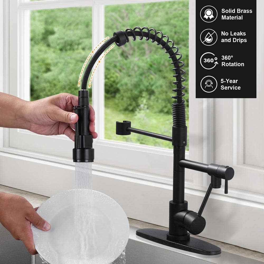 Matte Black Brass Pull Down Sprayer Kitchen Faucet