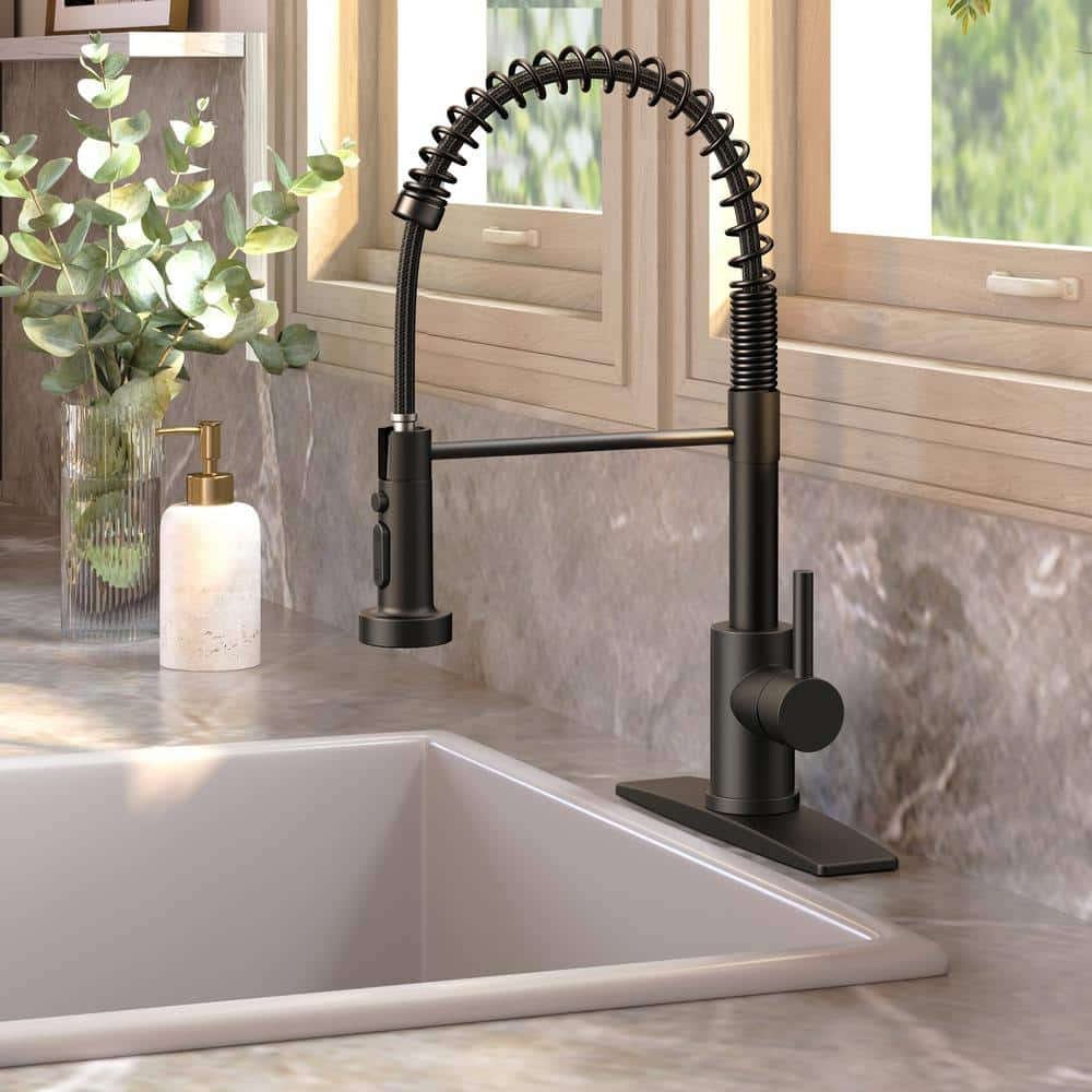 Single-Handle Pull Down Sprayer Coil Spring High-Arc Kitchen Faucet with Deckplate Lead-Free Sink Faucet in Matte Black -  androme, H51000B