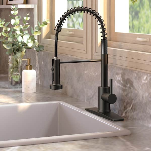 androme Single-Handle Pull Down Sprayer Coil Spring High-Arc Kitchen Faucet with Deckplate Lead-Free Sink Faucet in Matte Black