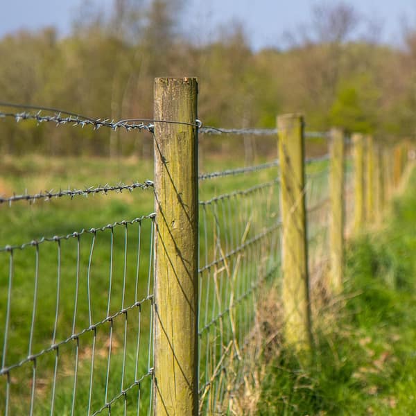 Everbilt 1-1/4 in. x 9/16 in. Crown Hot Dipped Galvanized Fence